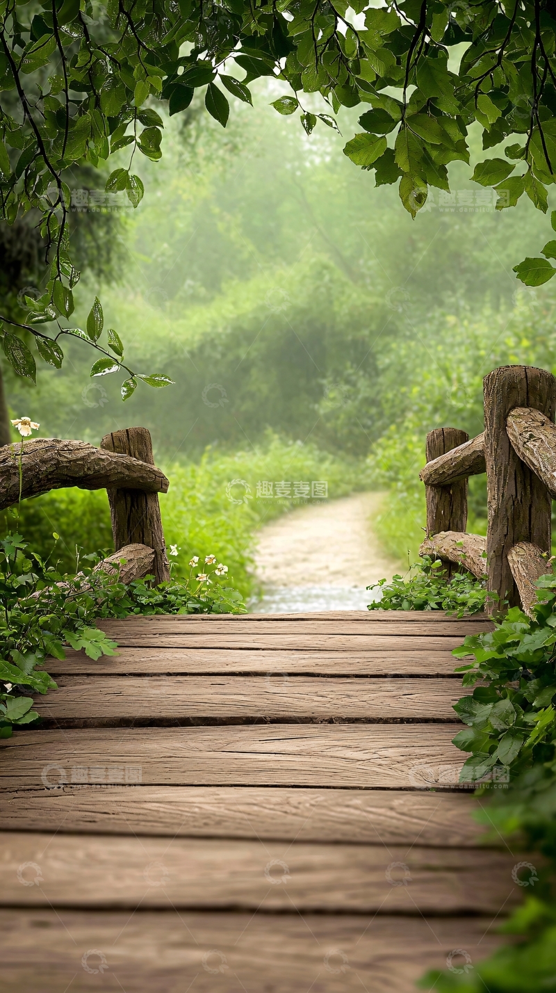高清大图下载【趣麦麦图】雨后木桥自然风光