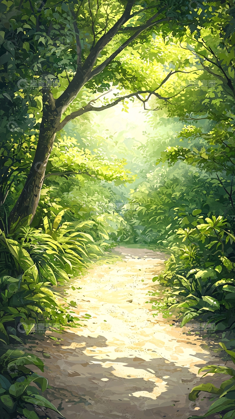 高清大图下载【趣麦麦图】森林小径阳光明媚