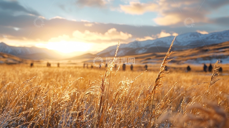 高清大图下载【趣麦麦图】金色草原上的日落风景