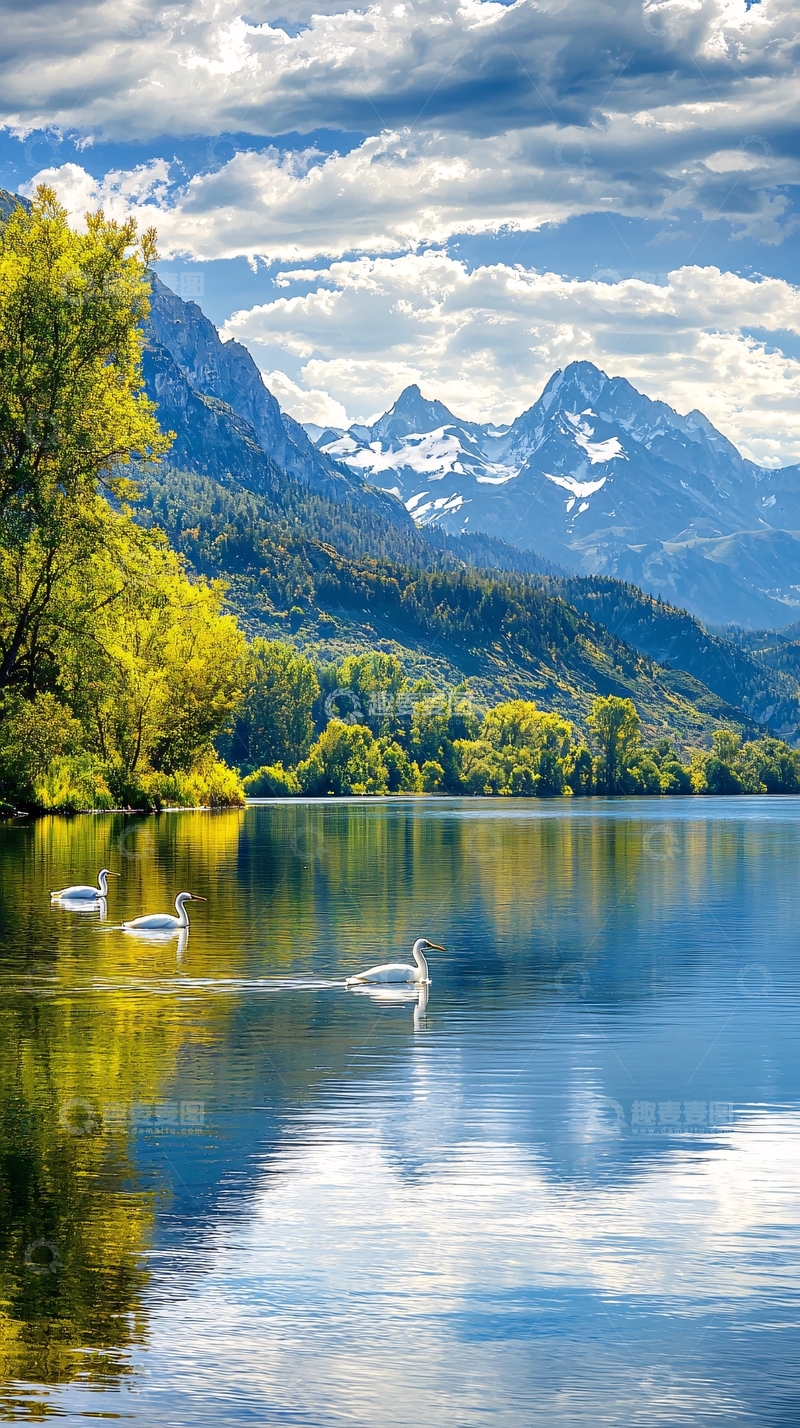 高清大图下载【趣麦麦图】湖畔天鹅与雪山美景
