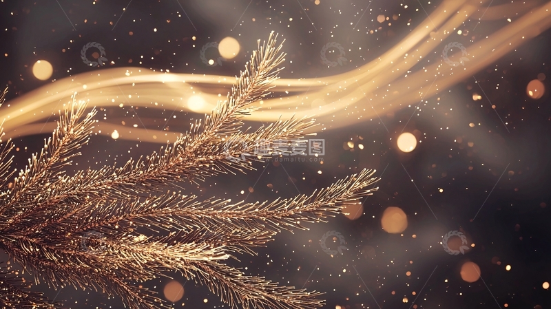 高清大图下载【趣麦麦图】金色松枝与光斑背景