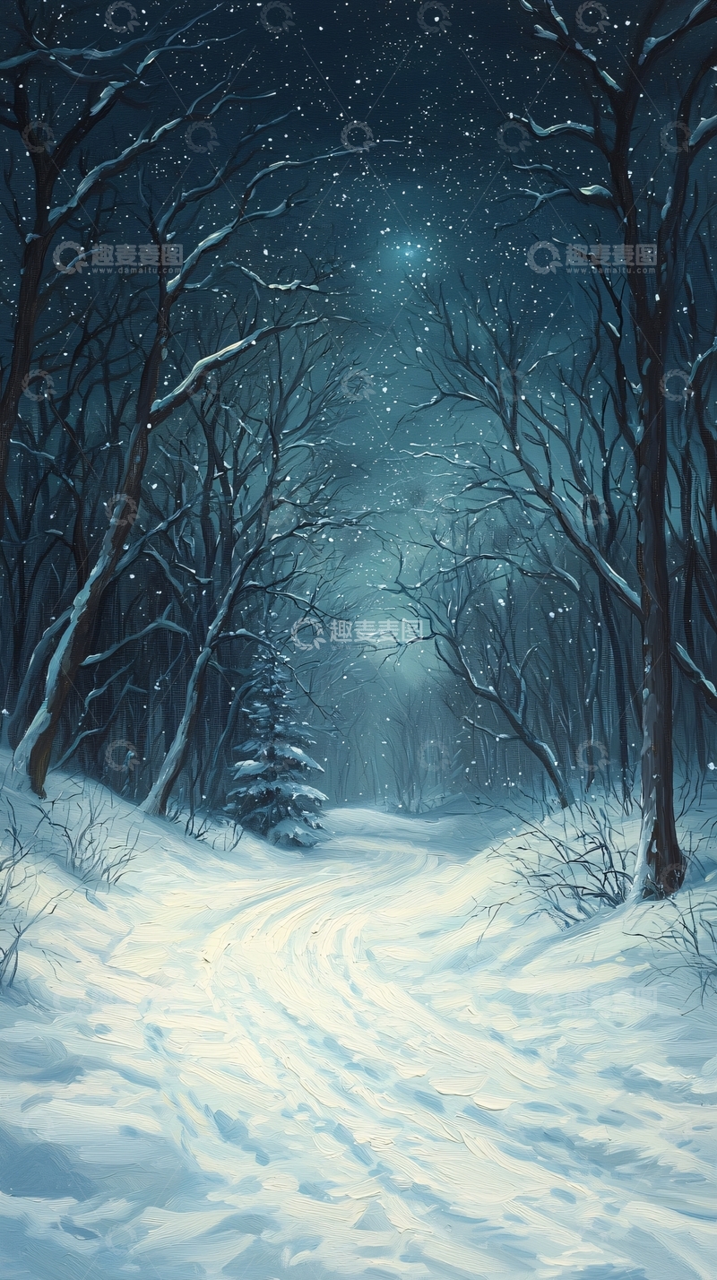 高清大图下载【趣麦麦图】冬夜雪景森林小径