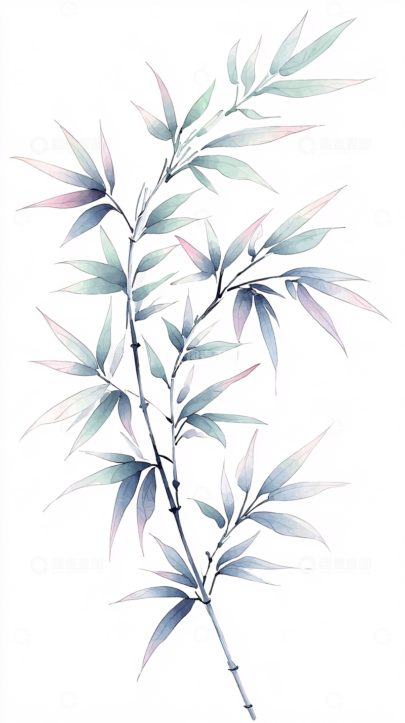 高清大图下载【趣麦麦图】水彩竹叶插画素材