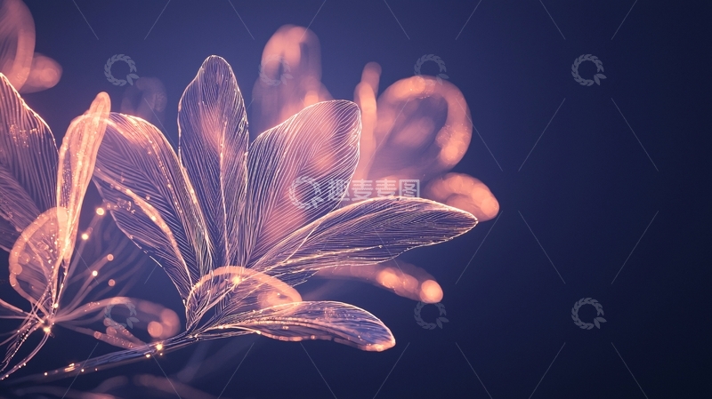高清大图下载【趣麦麦图】光之舞动的羽毛