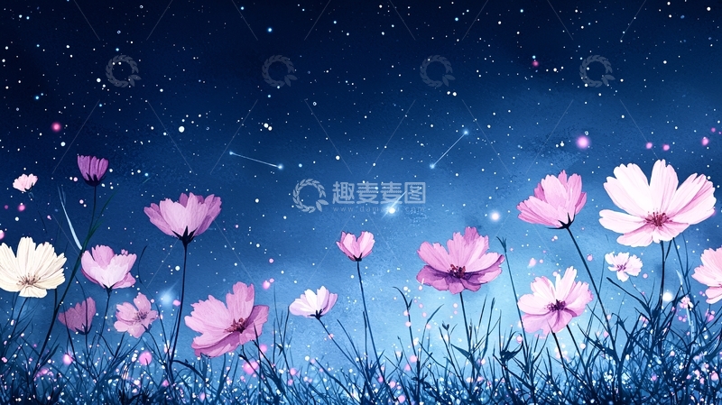 高清大图下载【趣麦麦图】夜空下的梦幻花朵