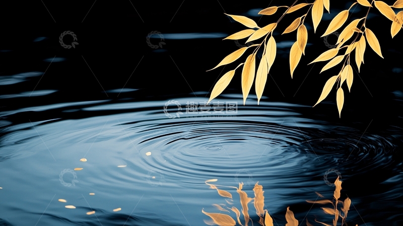 高清大图下载【趣麦麦图】秋水涟漪落叶静谧