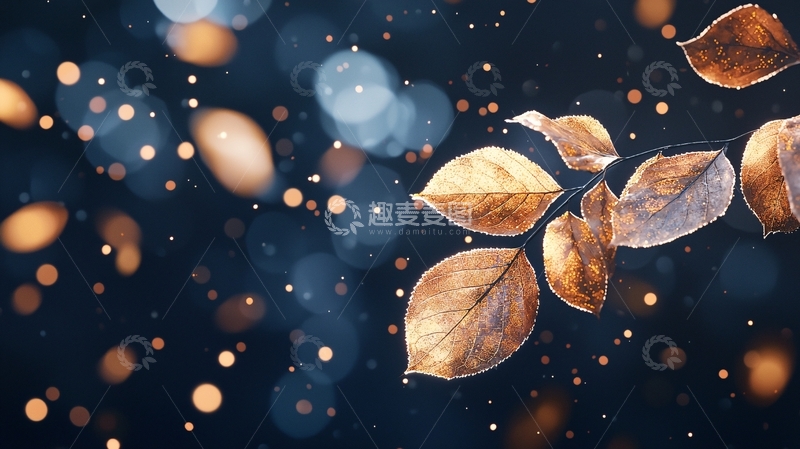高清大图下载【趣麦麦图】秋叶飘落光影背景