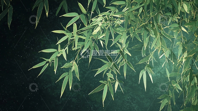 高清大图下载【趣麦麦图】竹叶清新自然背景