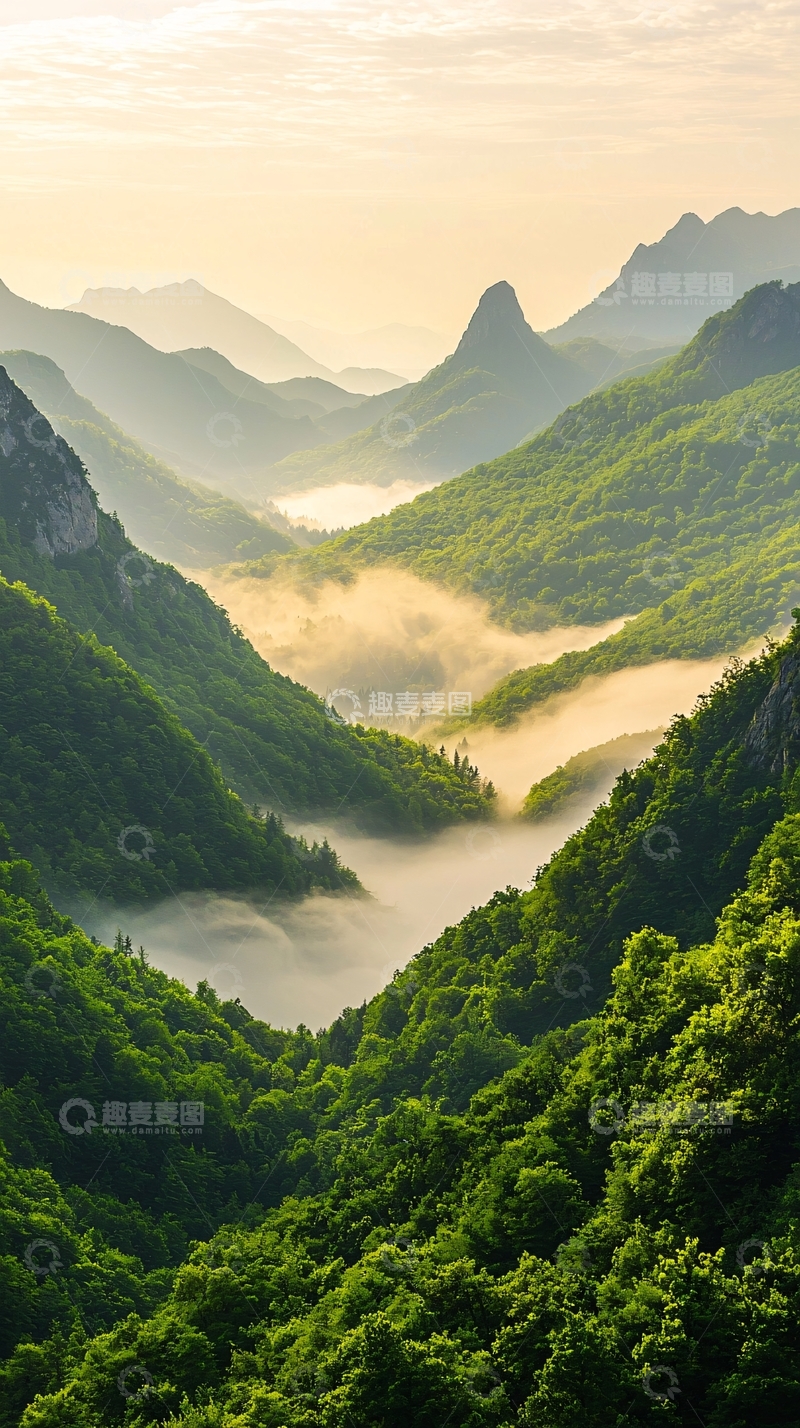 高清大图下载【趣麦麦图】晨雾中的山谷