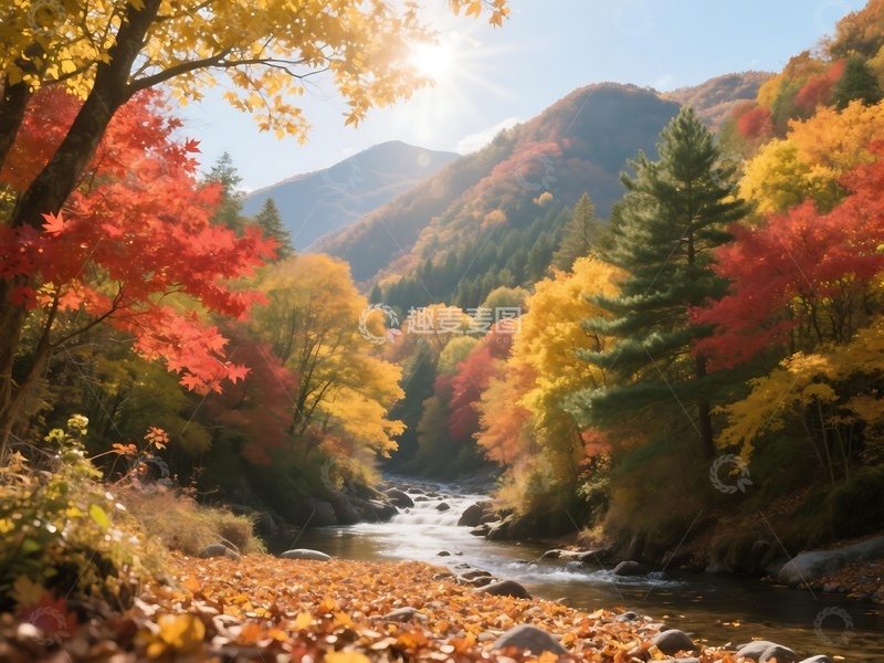 高清大图下载【趣麦麦图】秋意浓浓的山林溪流景致1