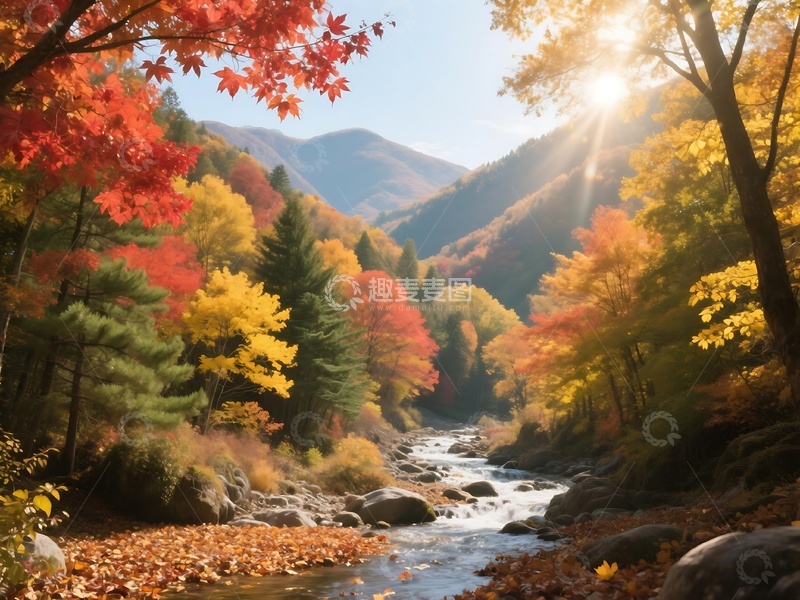 高清大图下载【趣麦麦图】秋日彩林与溪流的温暖风光1