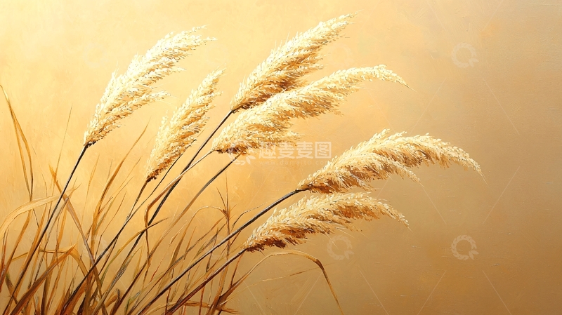 高清大图下载【趣麦麦图】秋日麦穗油画背景