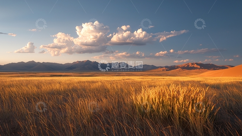 高清大图下载【趣麦麦图】金色草原与雪山日落