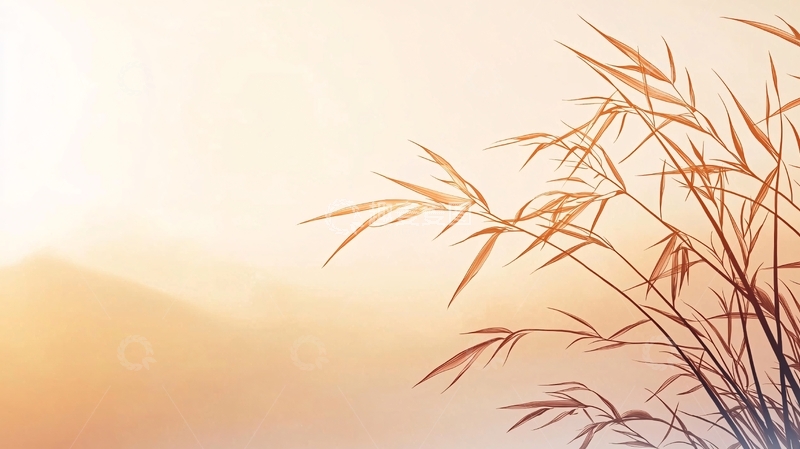 高清大图下载【趣麦麦图】秋日芦苇与远山