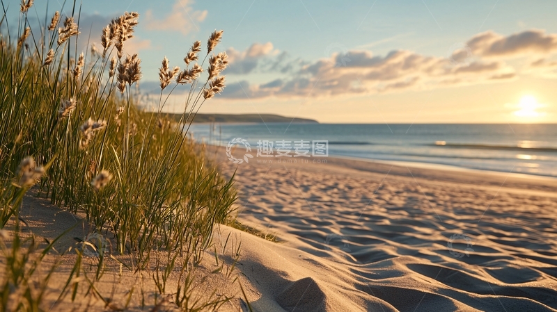 高清大图下载【趣麦麦图】夕阳下的海滩与海草