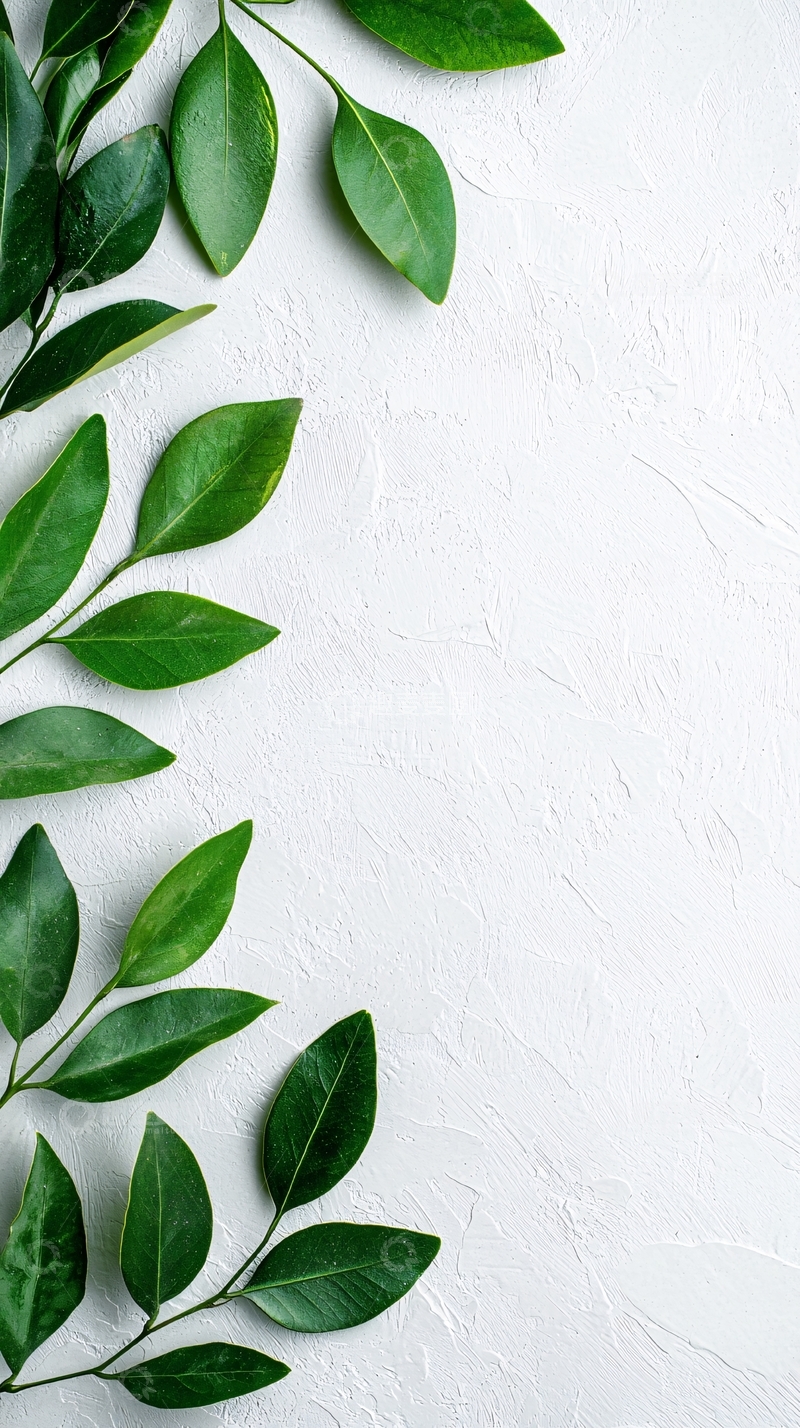 高清大图下载【趣麦麦图】绿色植物边框背景素材