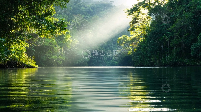 高清大图下载【趣麦麦图】晨雾中的热带雨林湖泊
