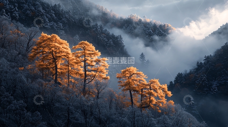 高清大图下载【趣麦麦图】秋日山林雾中景色