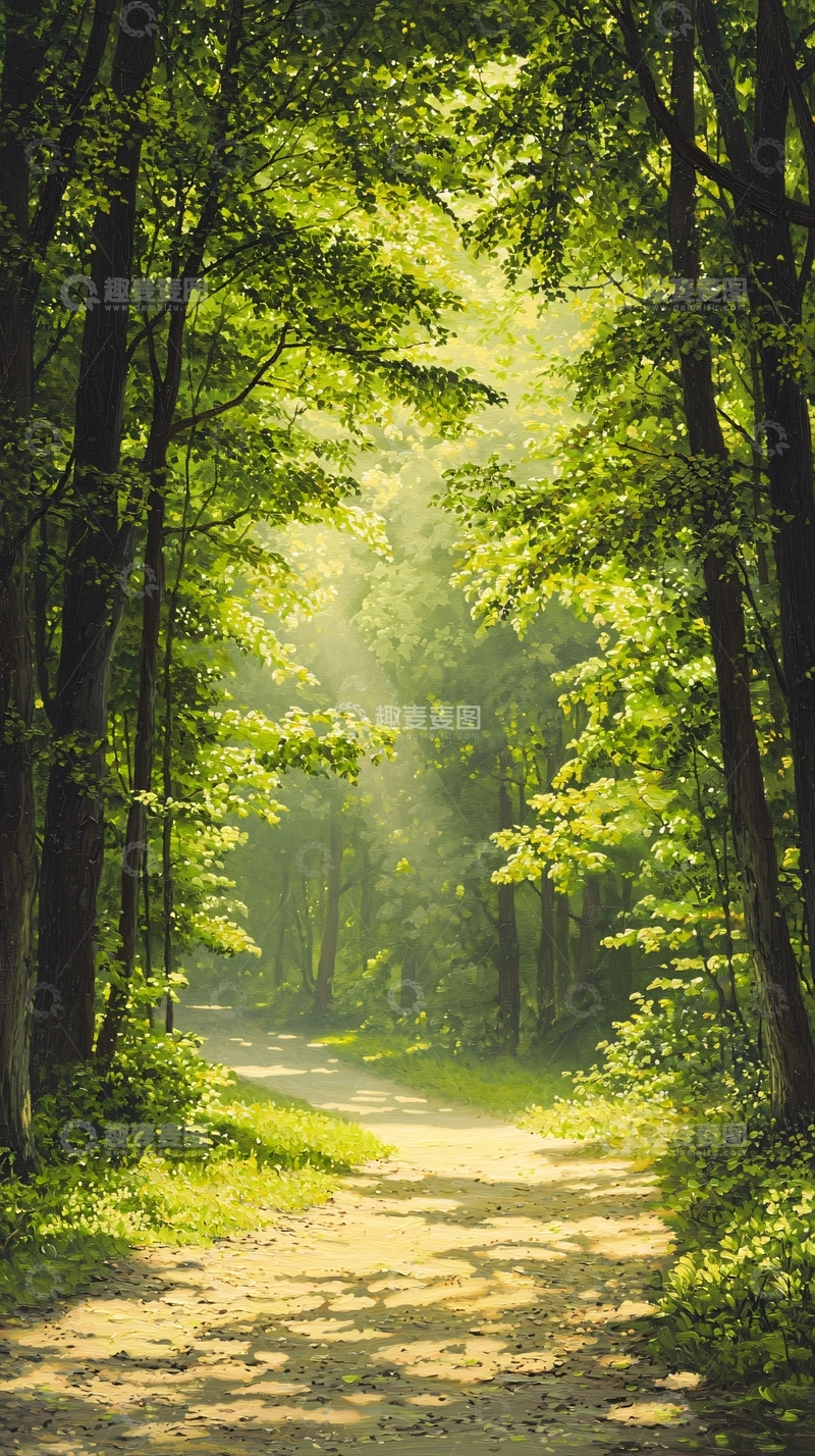 高清大图下载【趣麦麦图】阳光洒满森林小径