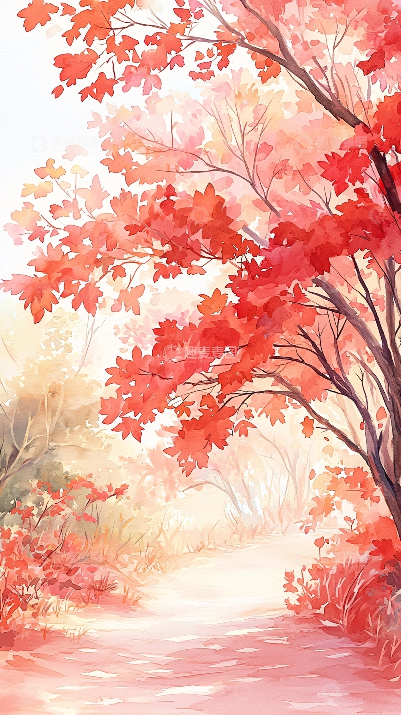 高清大图下载【趣麦麦图】秋日森林小径48