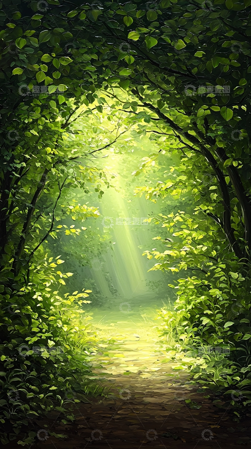 高清大图下载【趣麦麦图】森林小径阳光穿透