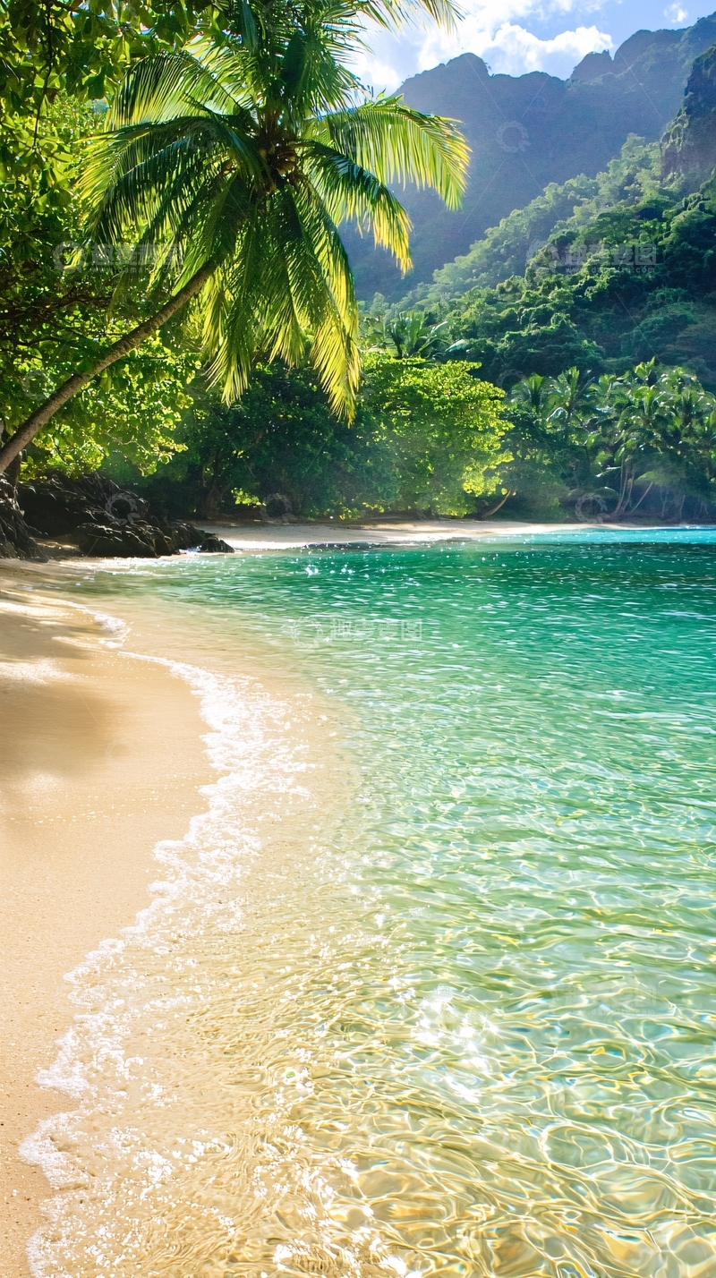 高清大图下载【趣麦麦图】热带海滩椰子树