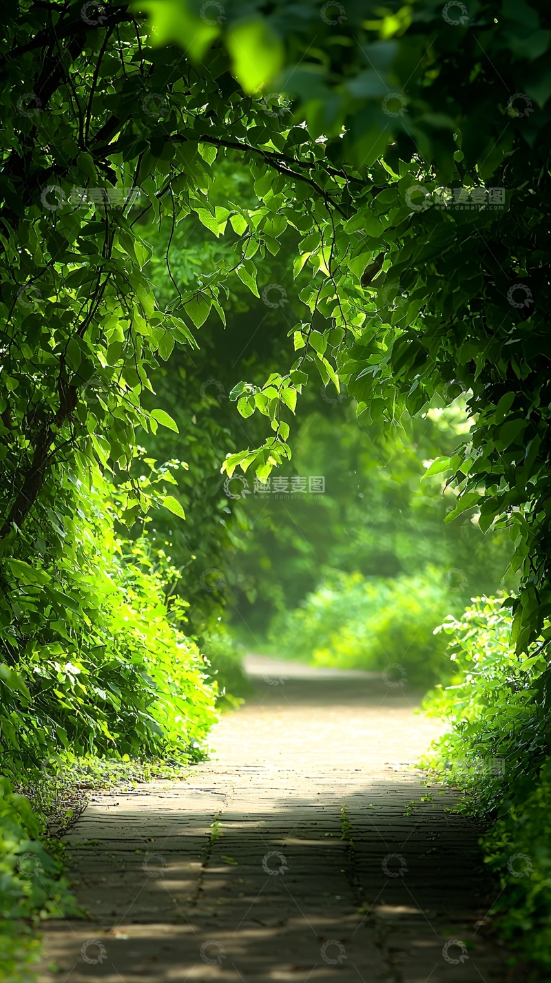 高清大图下载【趣麦麦图】绿荫小径自然风光
