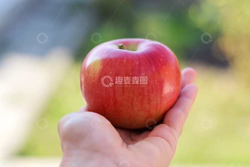 高清大图下载【趣麦麦图】一只手拖着一个苹果