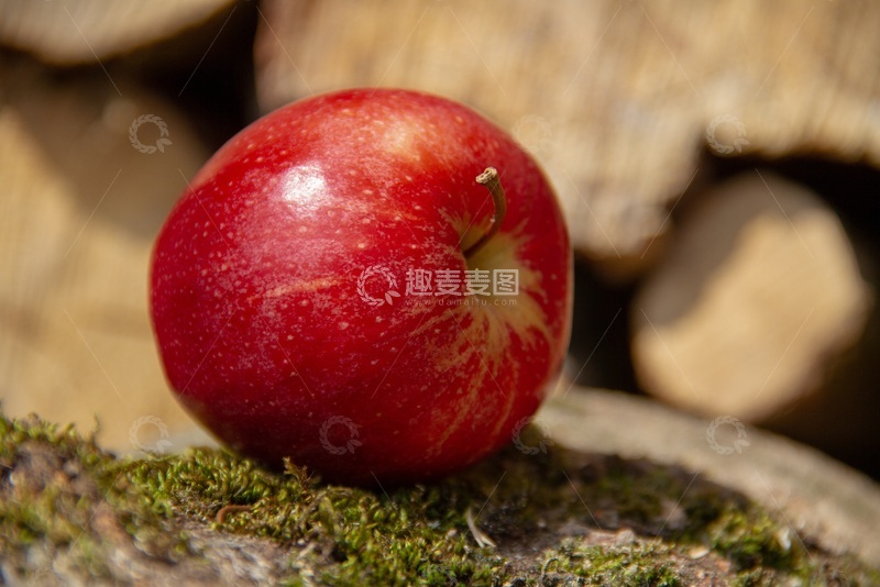 高清大图下载【趣麦麦图】苹果与苔藓
