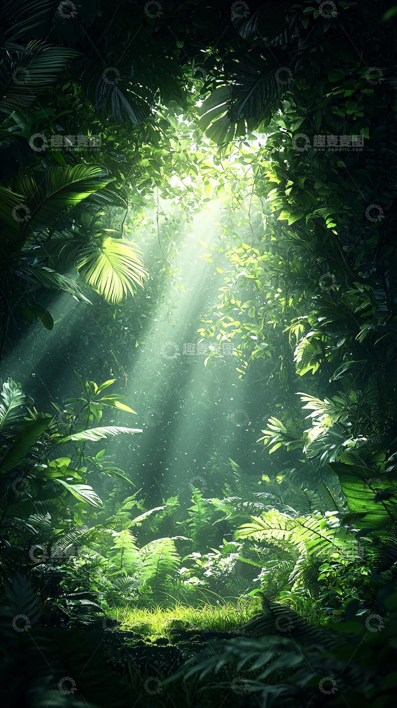 高清大图下载【趣麦麦图】阳光穿透丛林的神秘森林