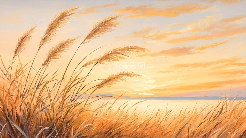 高清大图下载【趣麦麦图】秋日海边芦苇风景