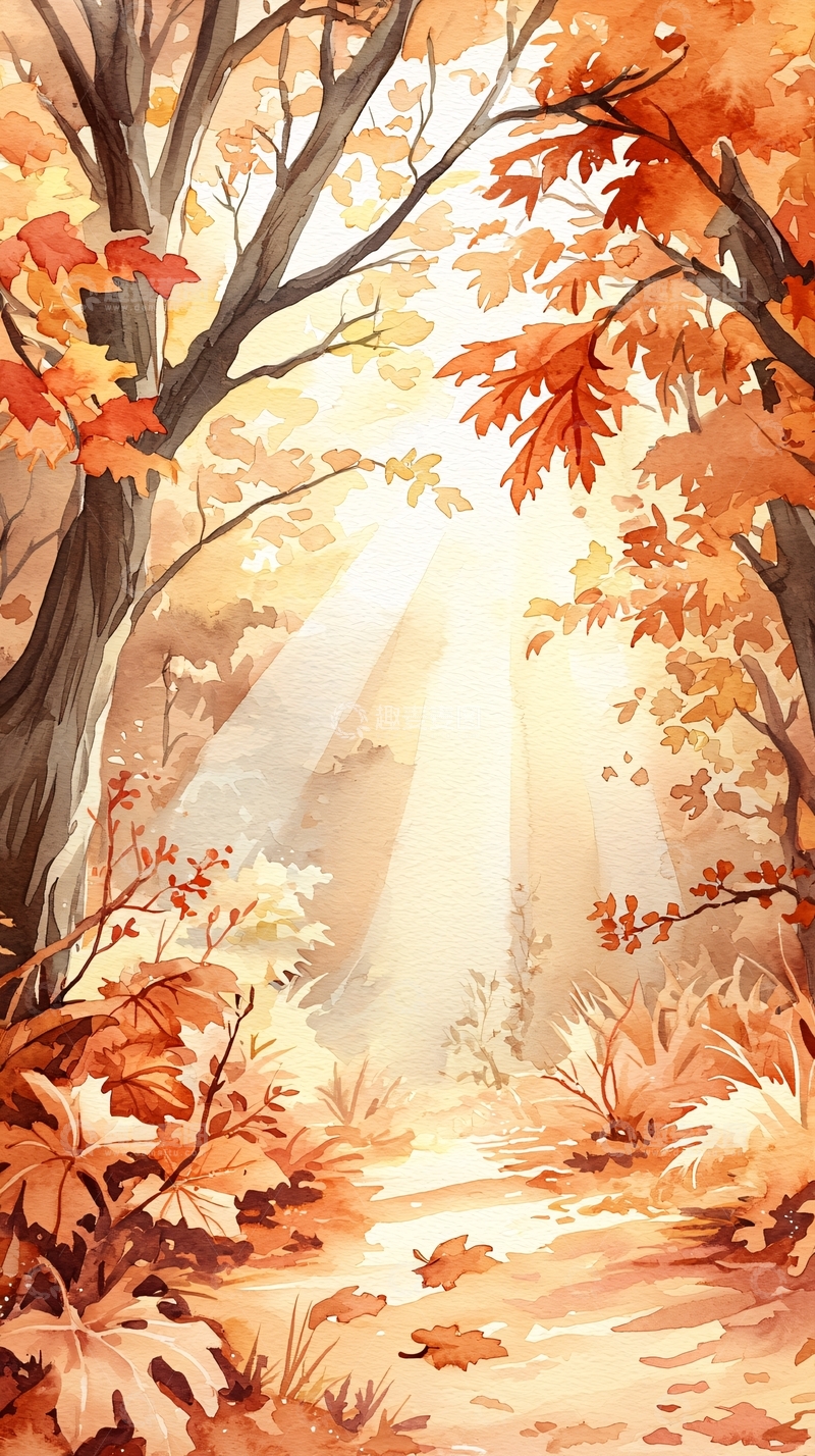 高清大图下载【趣麦麦图】秋日森林阳光小径