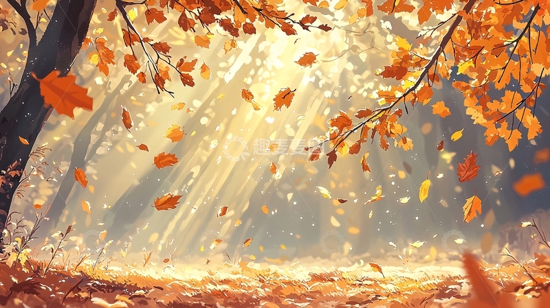 高清大图下载【趣麦麦图】秋日落叶森林