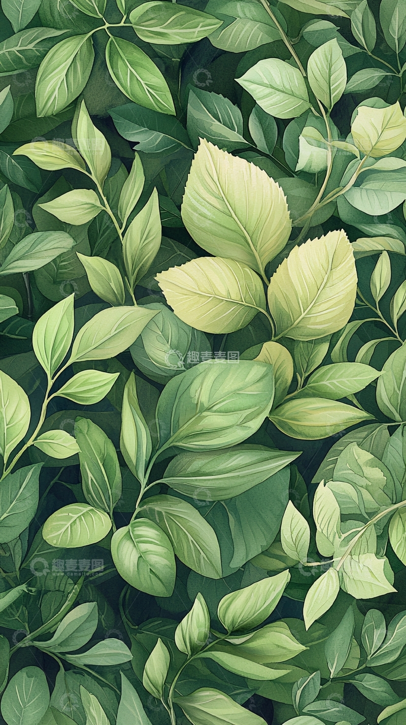 高清大图下载【趣麦麦图】绿色植物叶子背景图