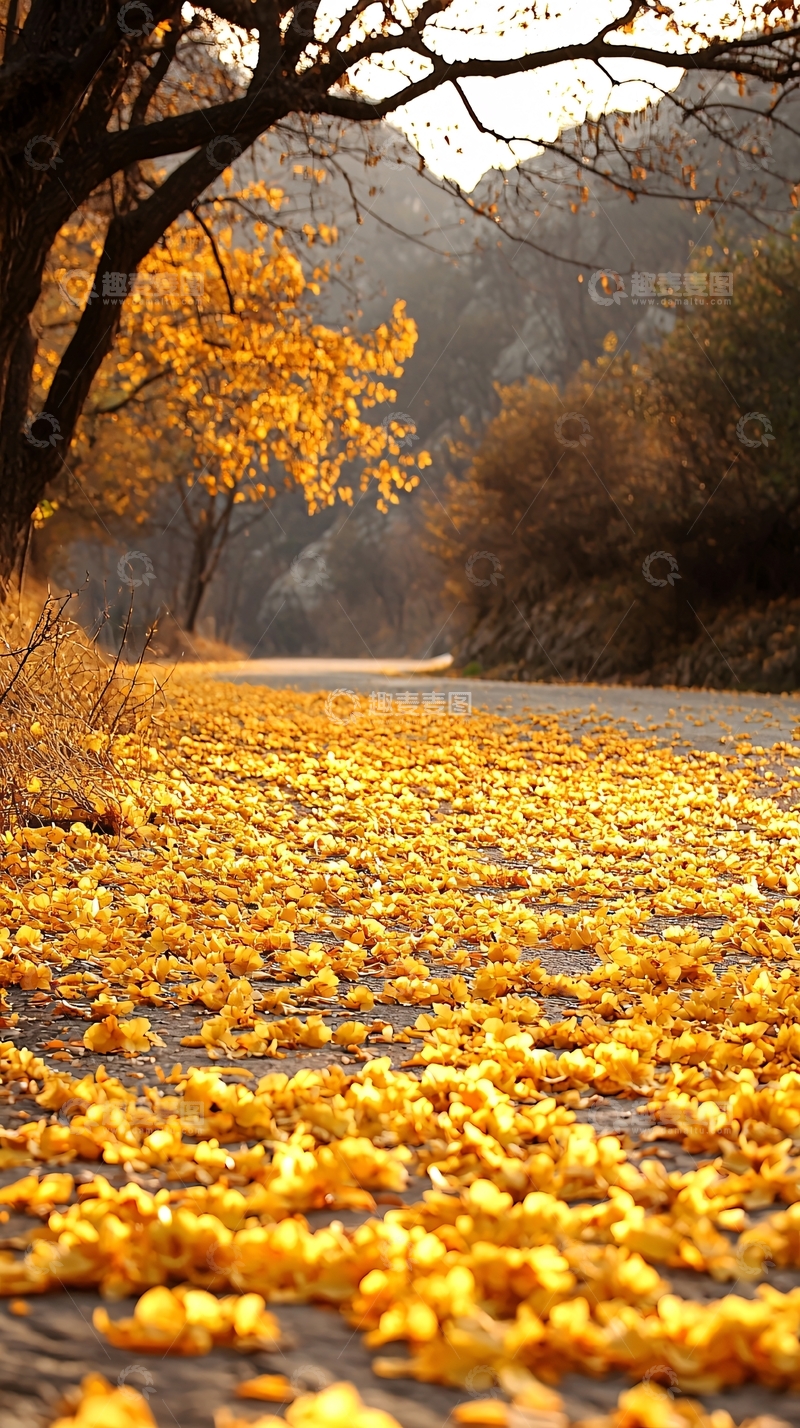 高清大图下载【趣麦麦图】秋日落叶铺满小路