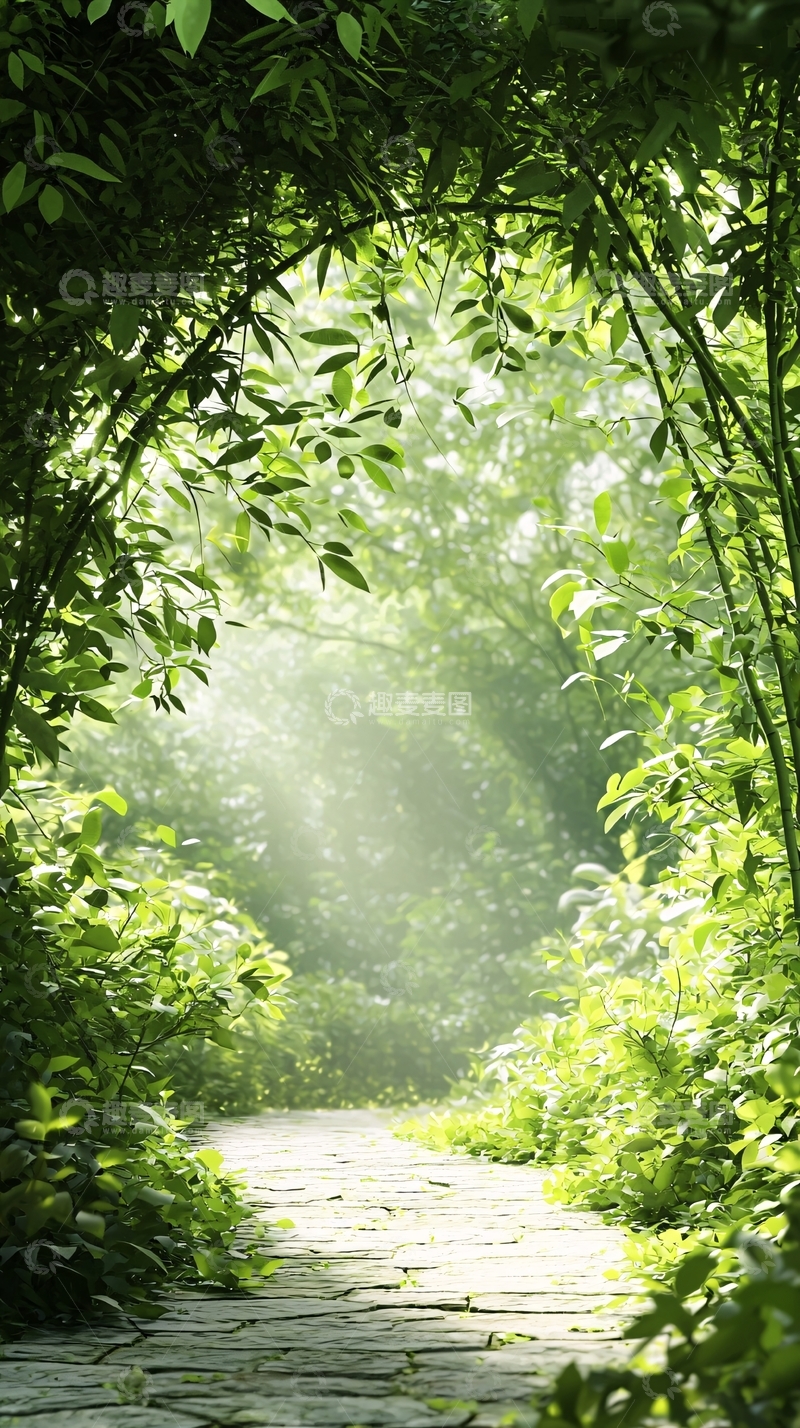 高清大图下载【趣麦麦图】森林小径阳光透过