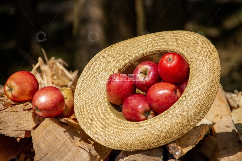 高清大图下载【趣麦麦图】苹果放在草帽里