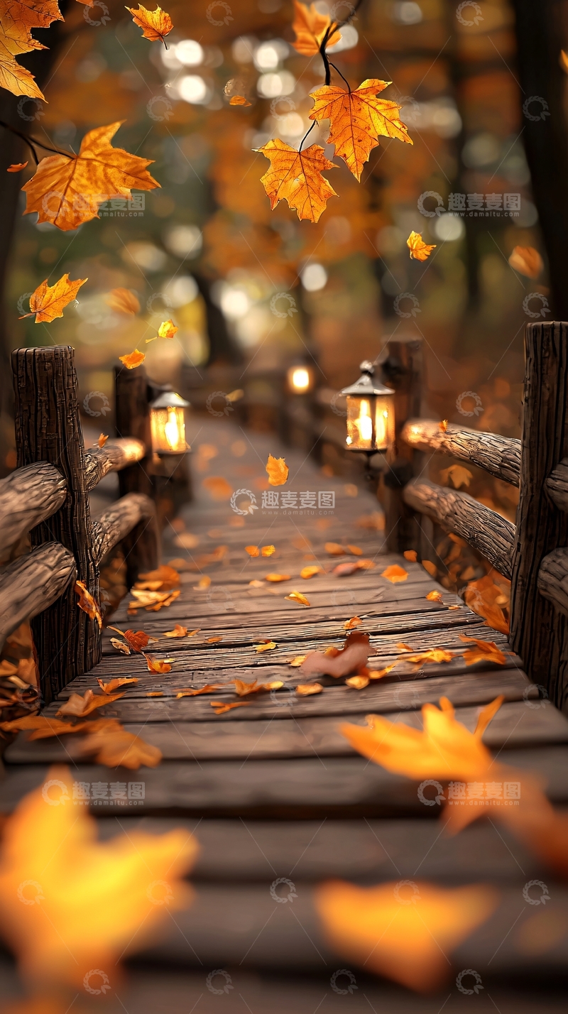 高清大图下载【趣麦麦图】秋日木桥落叶灯饰