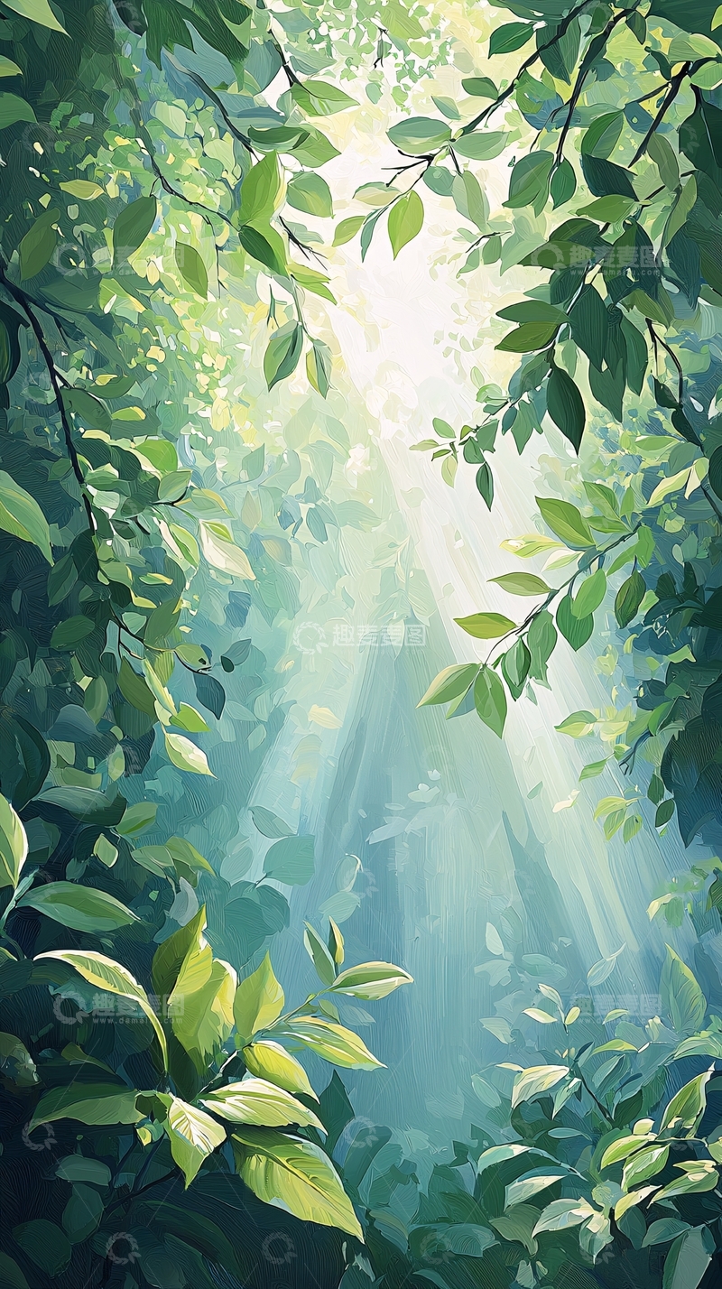 高清大图下载【趣麦麦图】森林中的阳光穿透树叶