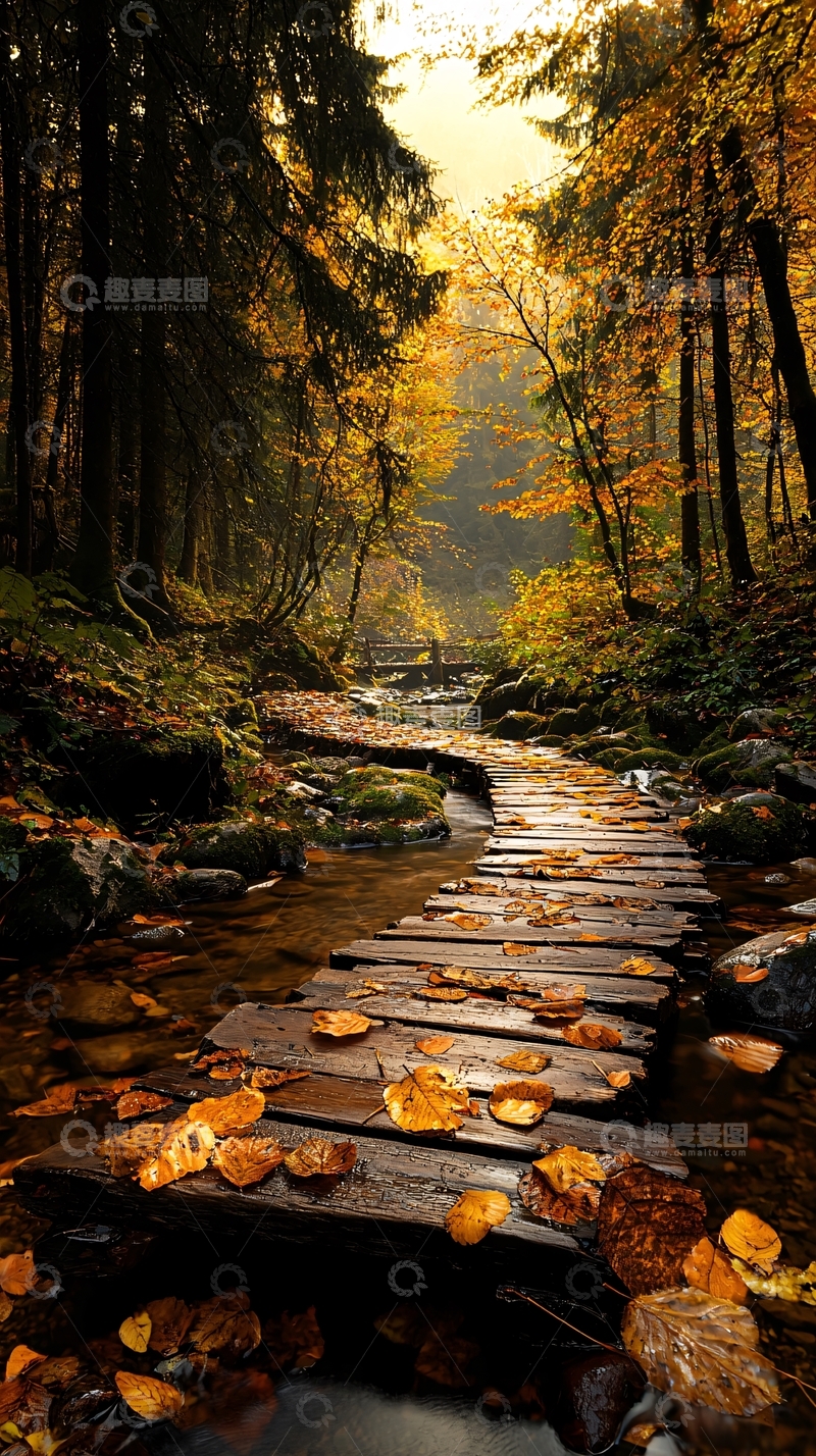 高清大图下载【趣麦麦图】秋日森林小桥流水自然风景