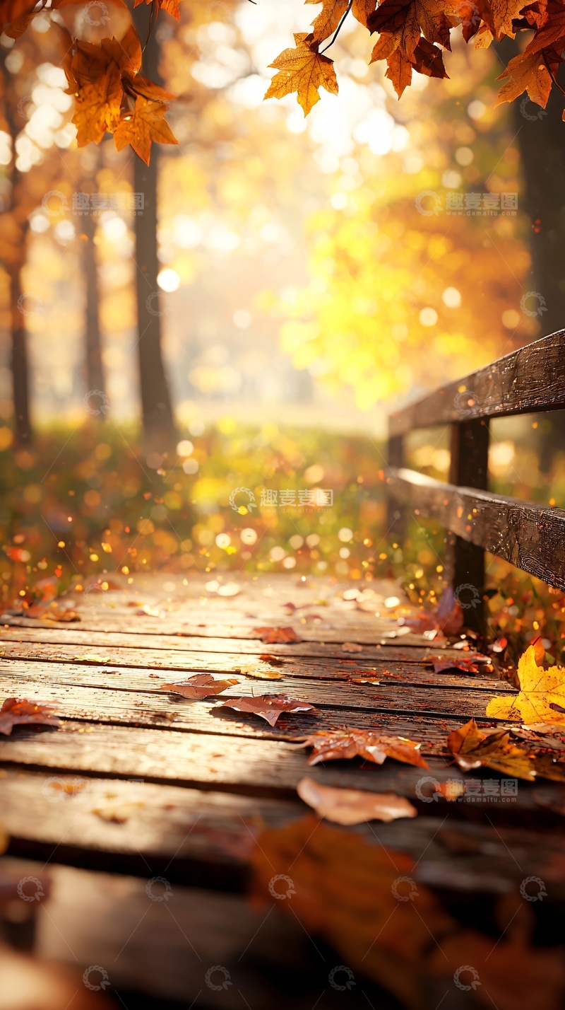 高清大图下载【趣麦麦图】秋日阳光下的木桥