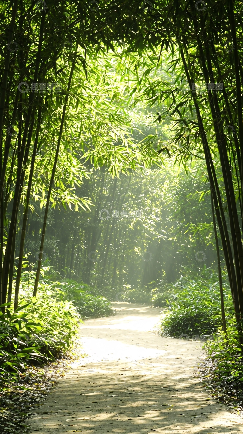高清大图下载【趣麦麦图】竹林小径阳光明媚