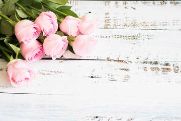玫瑰花与木板