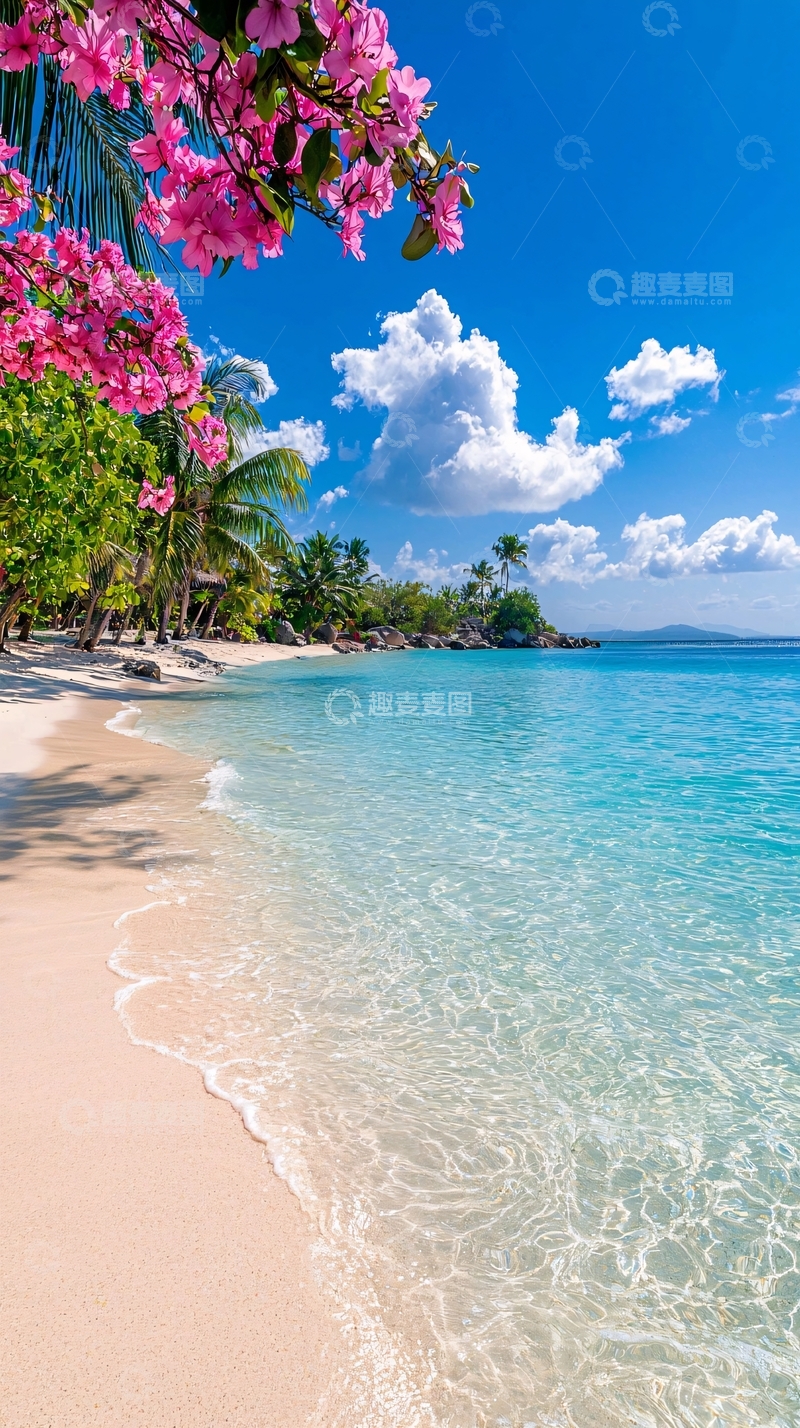 高清大图下载【趣麦麦图】热带海滩粉色花朵