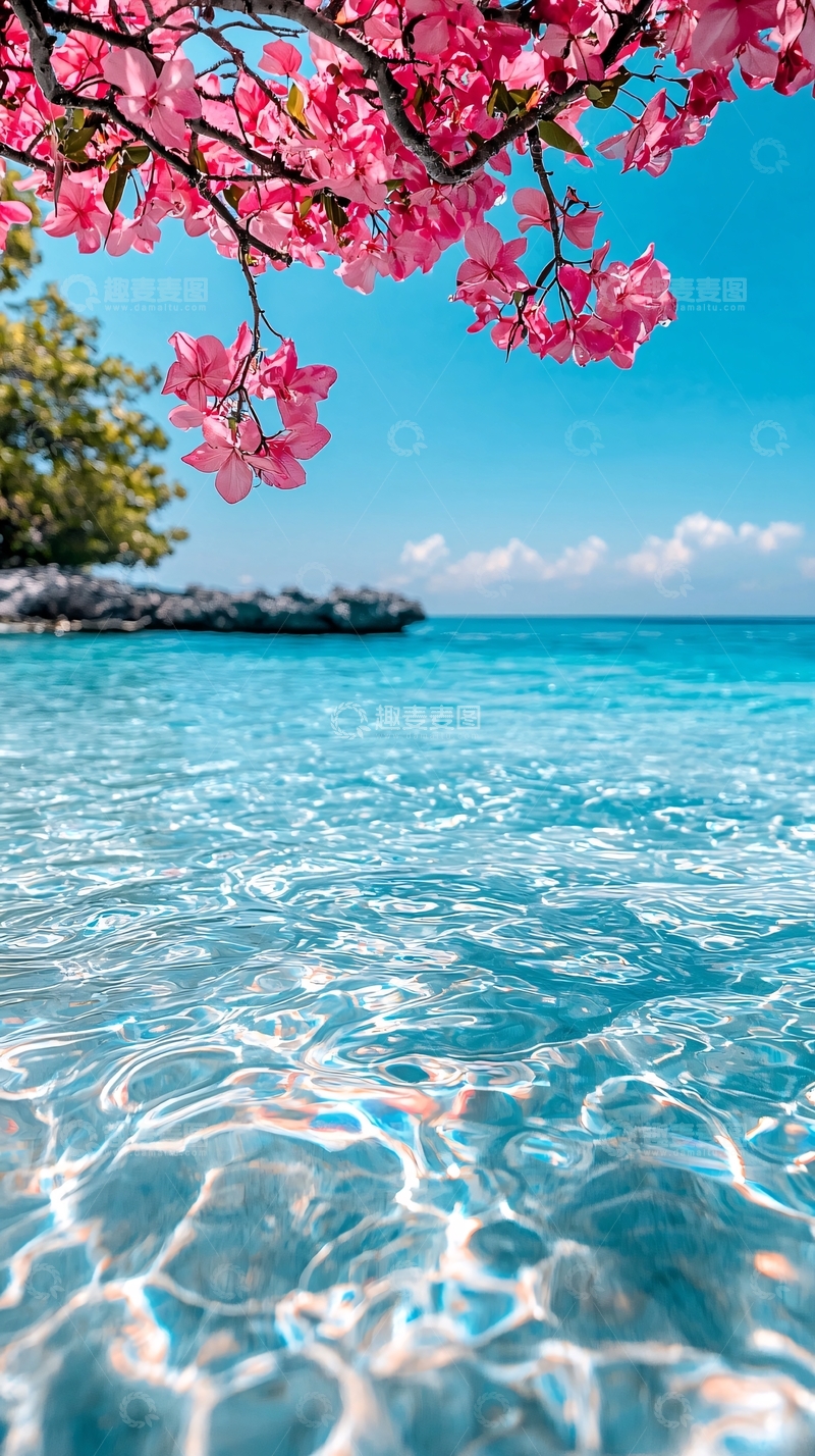 高清大图下载【趣麦麦图】粉色樱花与清澈海水的海滩美景