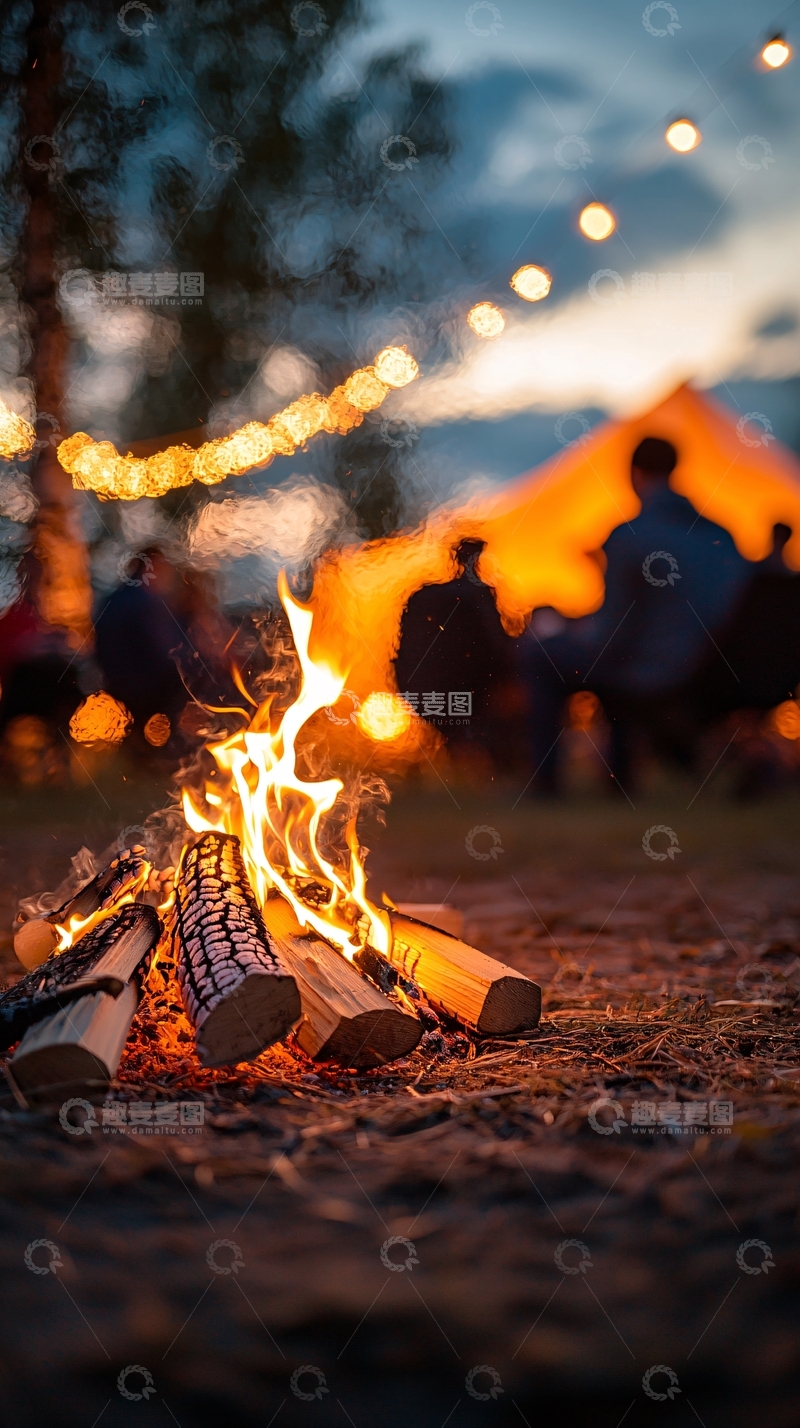 高清大图下载【趣麦麦图】篝火晚会夜景