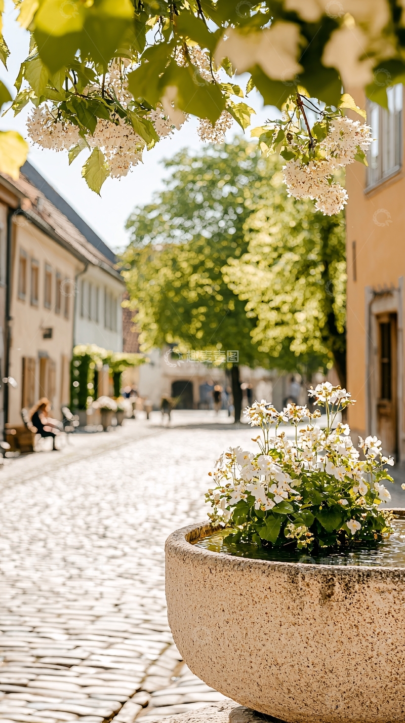 高清大图下载【趣麦麦图】夏日小镇花坛美景