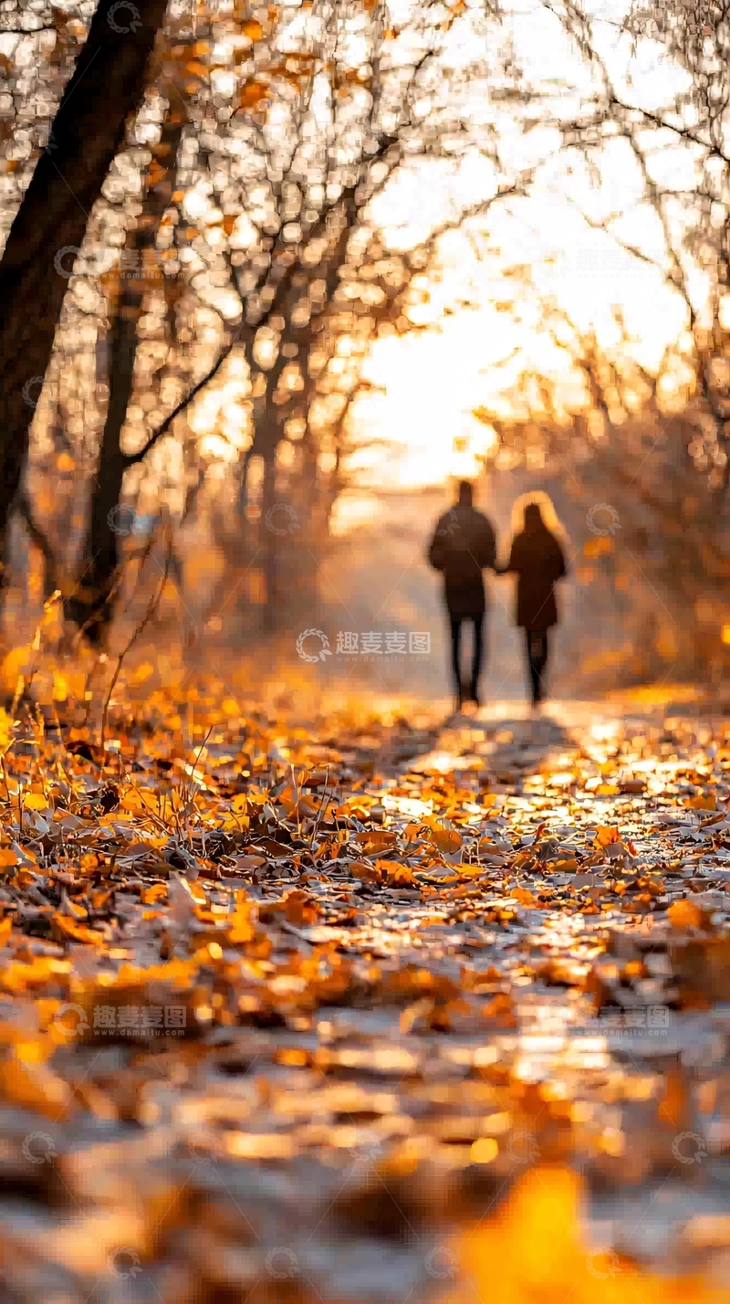 高清大图下载【趣麦麦图】秋日林间散步情侣