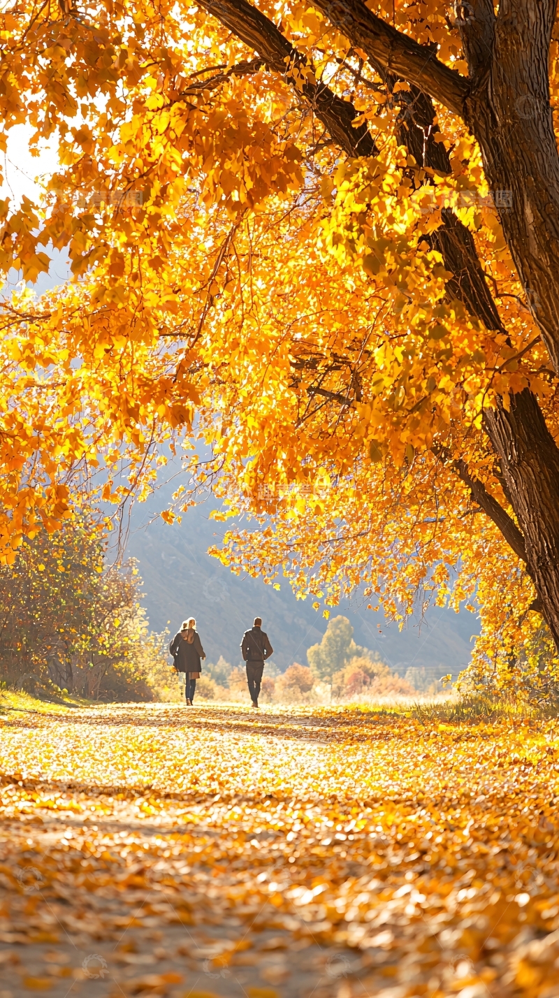 高清大图下载【趣麦麦图】秋日林间漫步