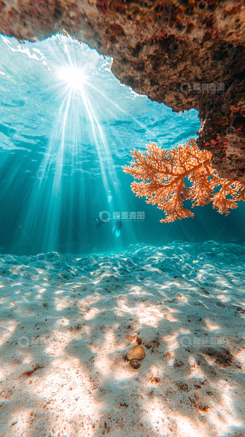 高清大图下载【趣麦麦图】海底阳光下的珊瑚礁